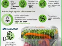 IV GAMMA, INCIDENZA AGENTI ENASARCO - INFOGRAFICA